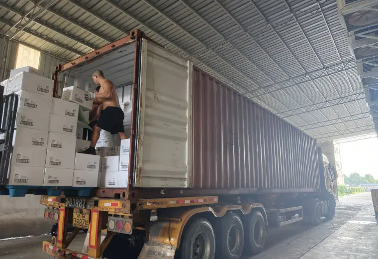 Kosda 2026. június, kéttartályos papírtermékek exportja | Ningbo